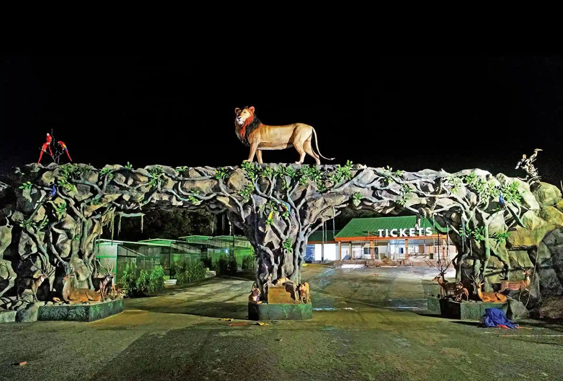 Jungle Safari