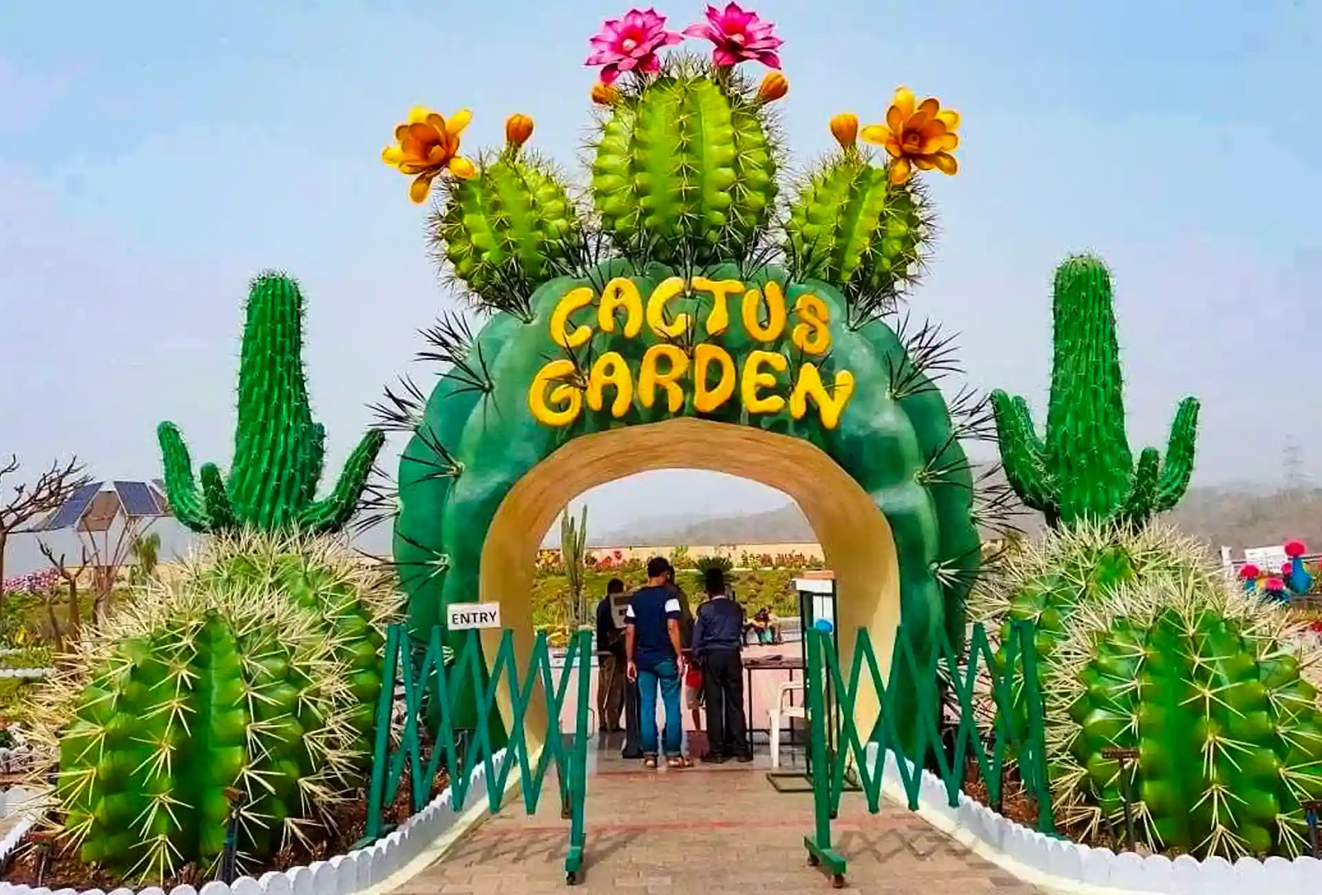 Cactus Garden