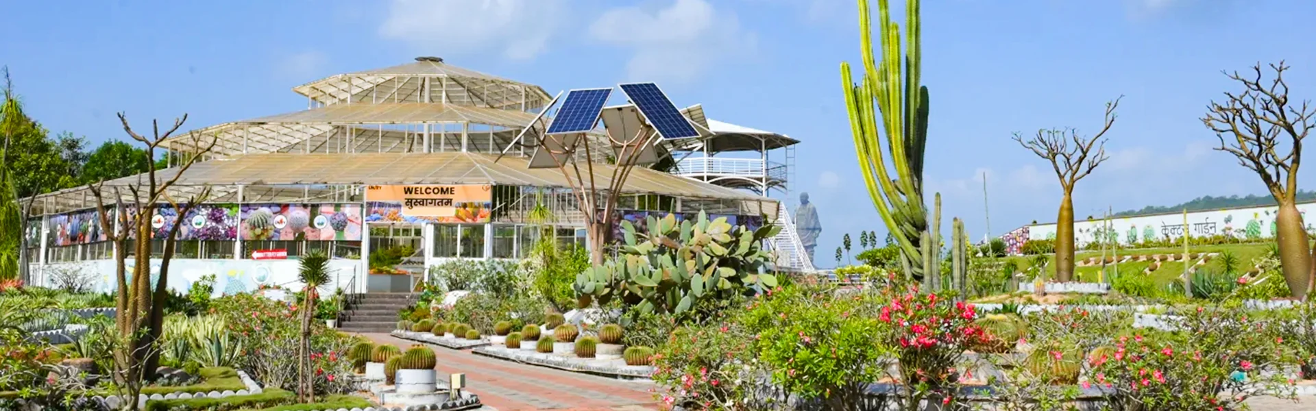 Cactus Garden - View 1