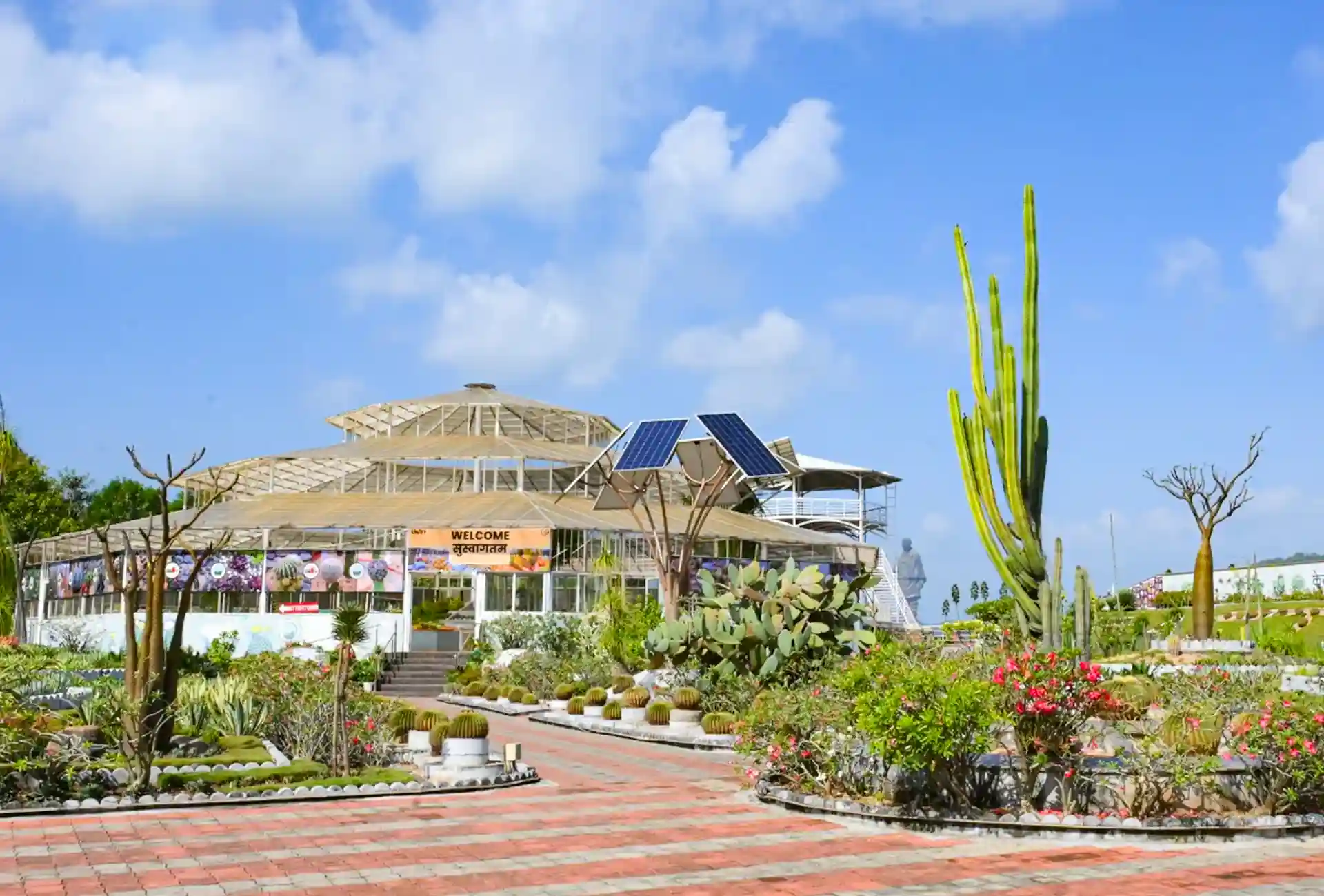 Cactus Garden Gallery 2
