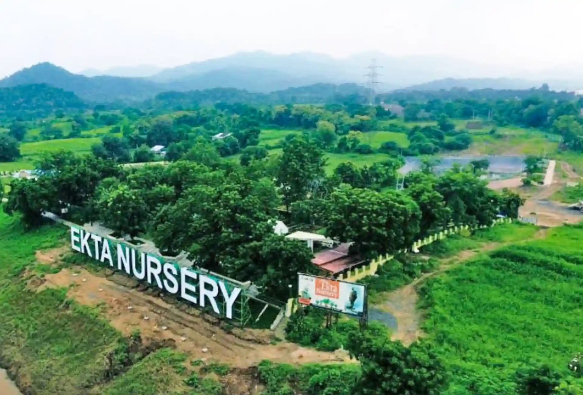 Ekta Nursery