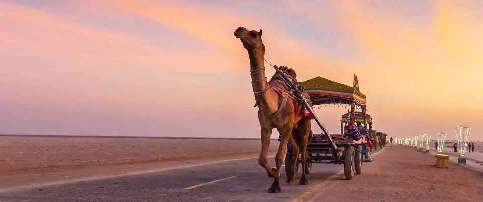 Rann Utsav Package 2 Nights 3 Days
