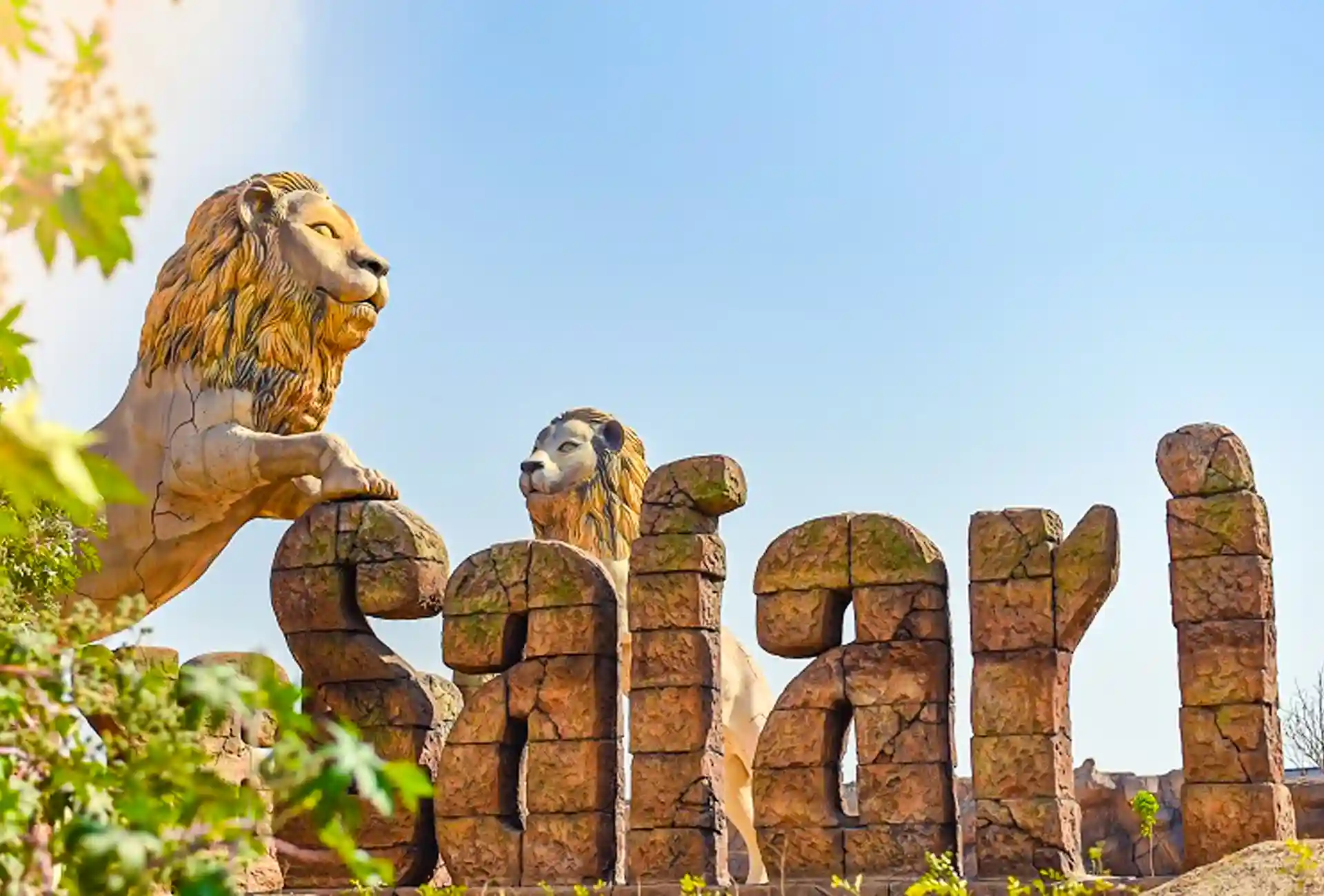 Jungle Safari Gallery 1