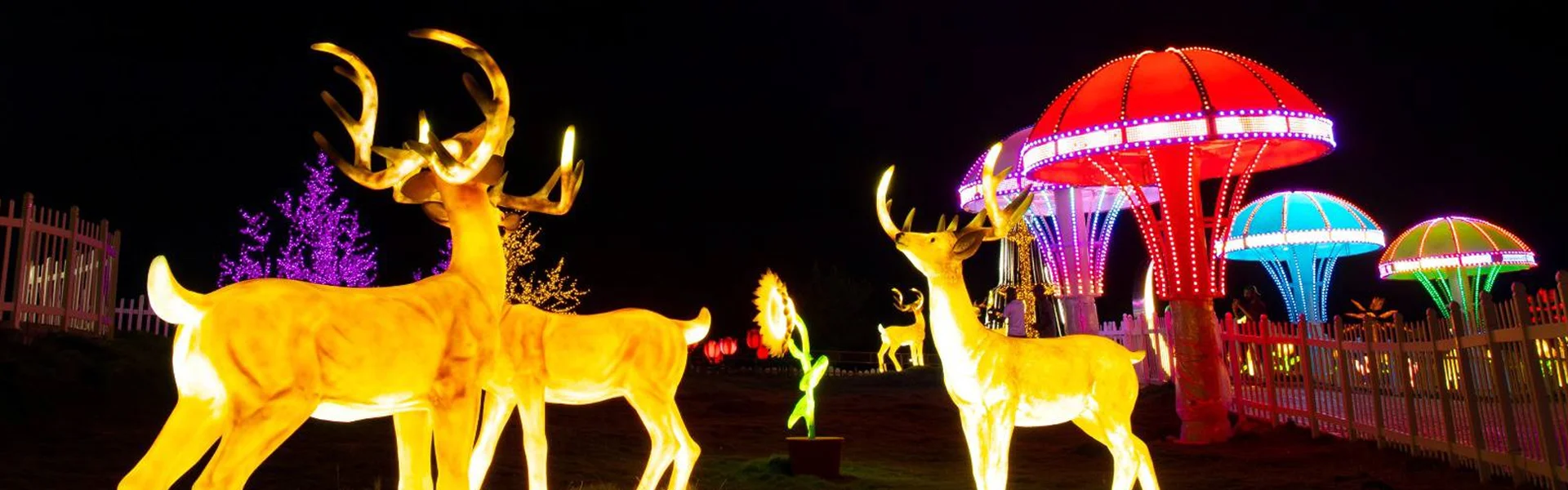 Glow Garden - View 1