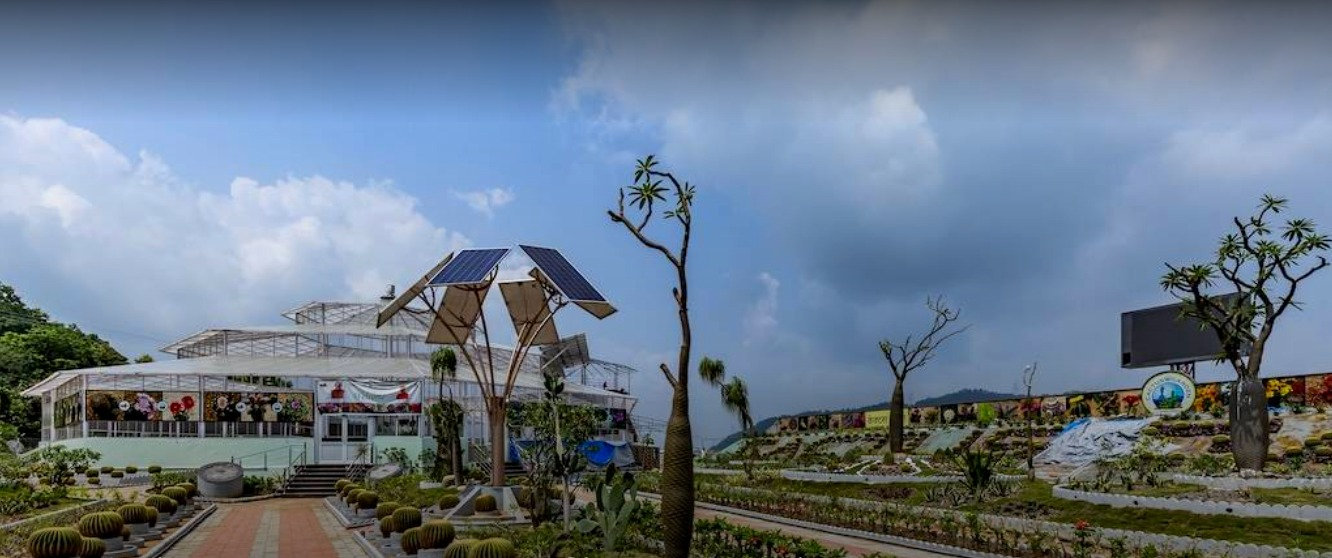 Cactus Garden & Butterfly Garden
