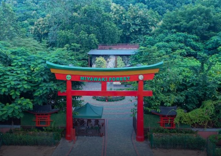 Miyawaki Forest 1
