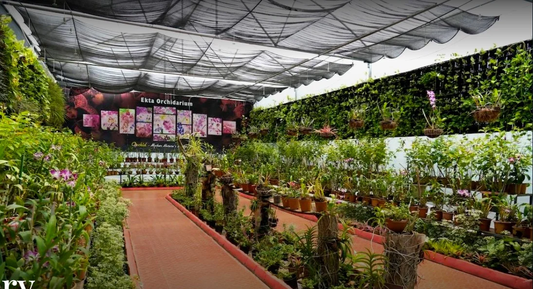Ekta Nursery 1